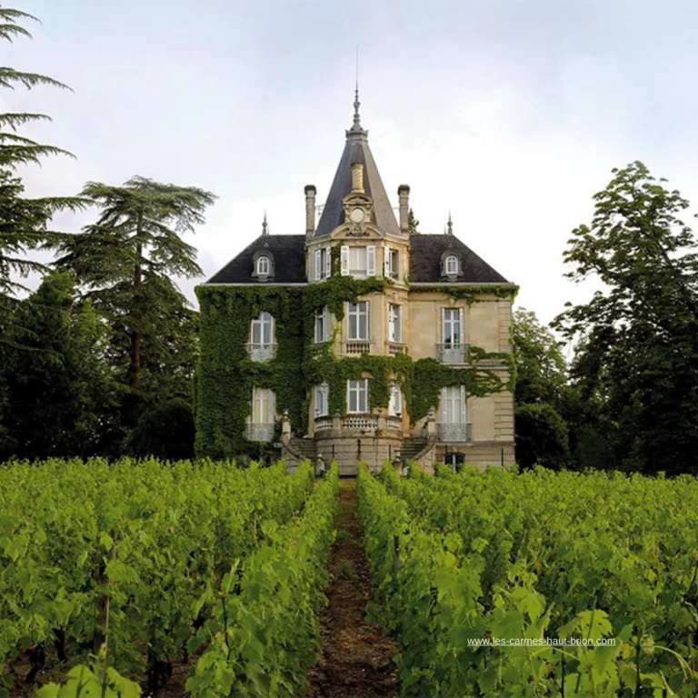 Wineries that you can visite by Gravel bike from Bordeaux : Château les Carmes Haut-Brion