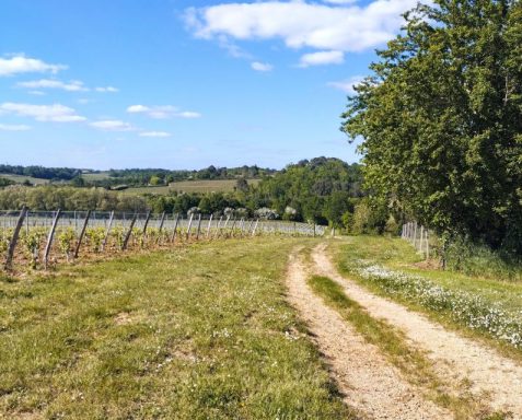 Bordeaux Gravel Bike Routes