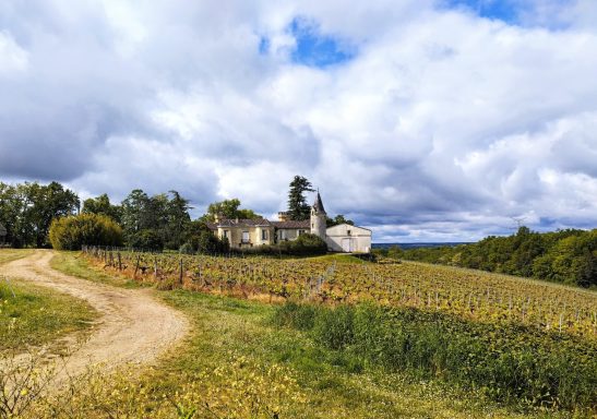 La Gironde à vélo Gravel. Découvre les paysages iconiques de la région !