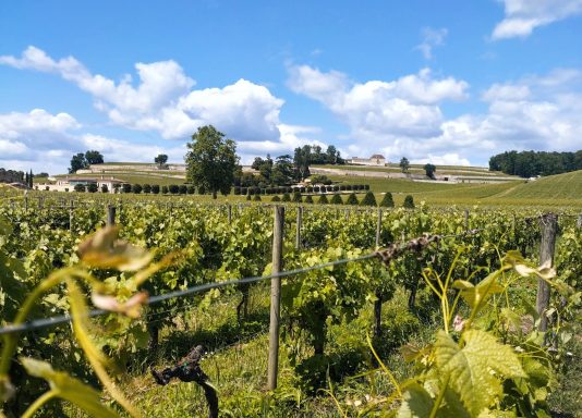 Séjour Gravel Saint-Emilion au départ de Bordeaux.