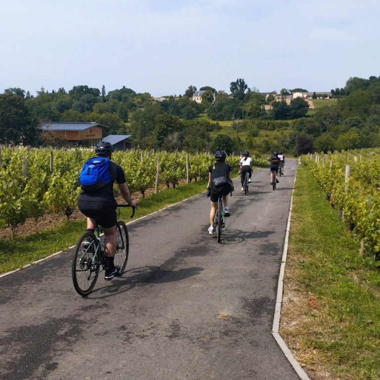 Wineries near Bordeaux that you can explore by Gravel Bike